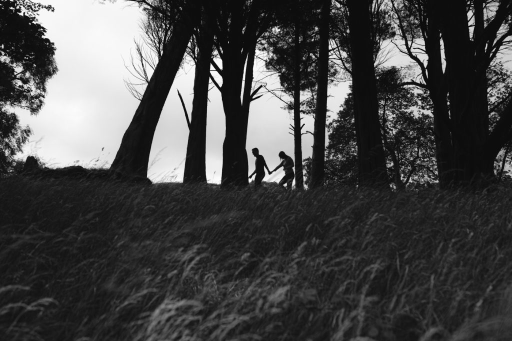 Couple Woods Walk at Ennerdale Water
