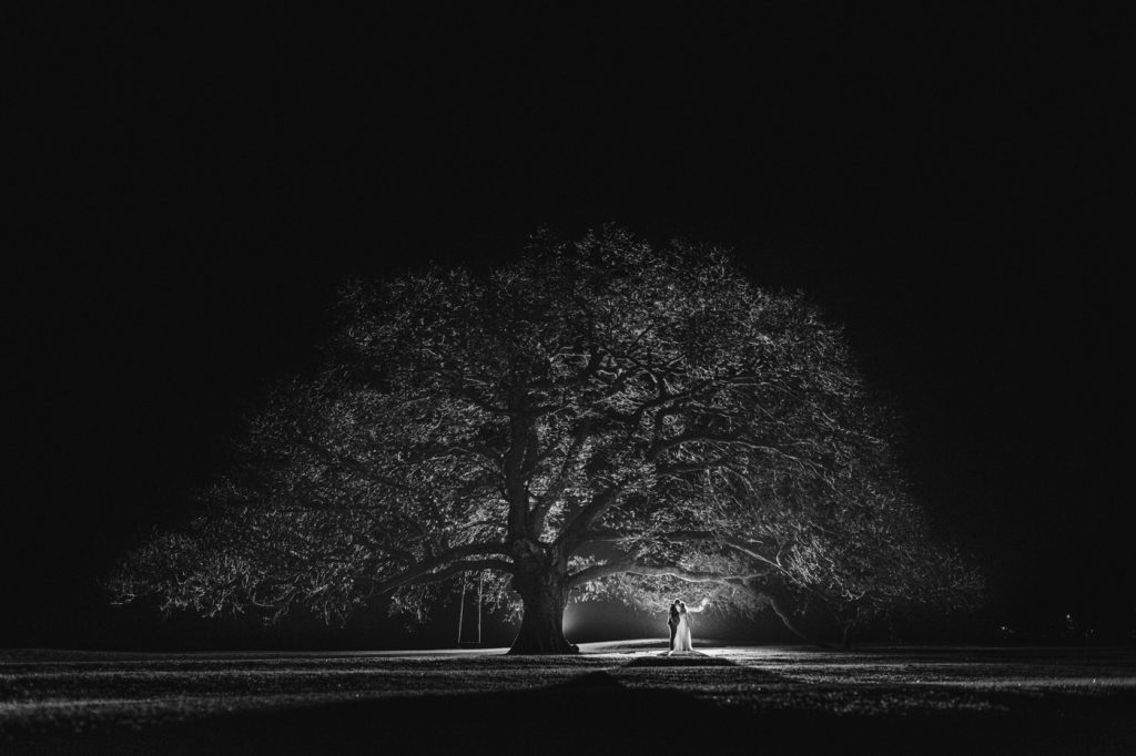 Wedding portrait at The Inn On The Lake Ullswater with the hotel famous tree in winter