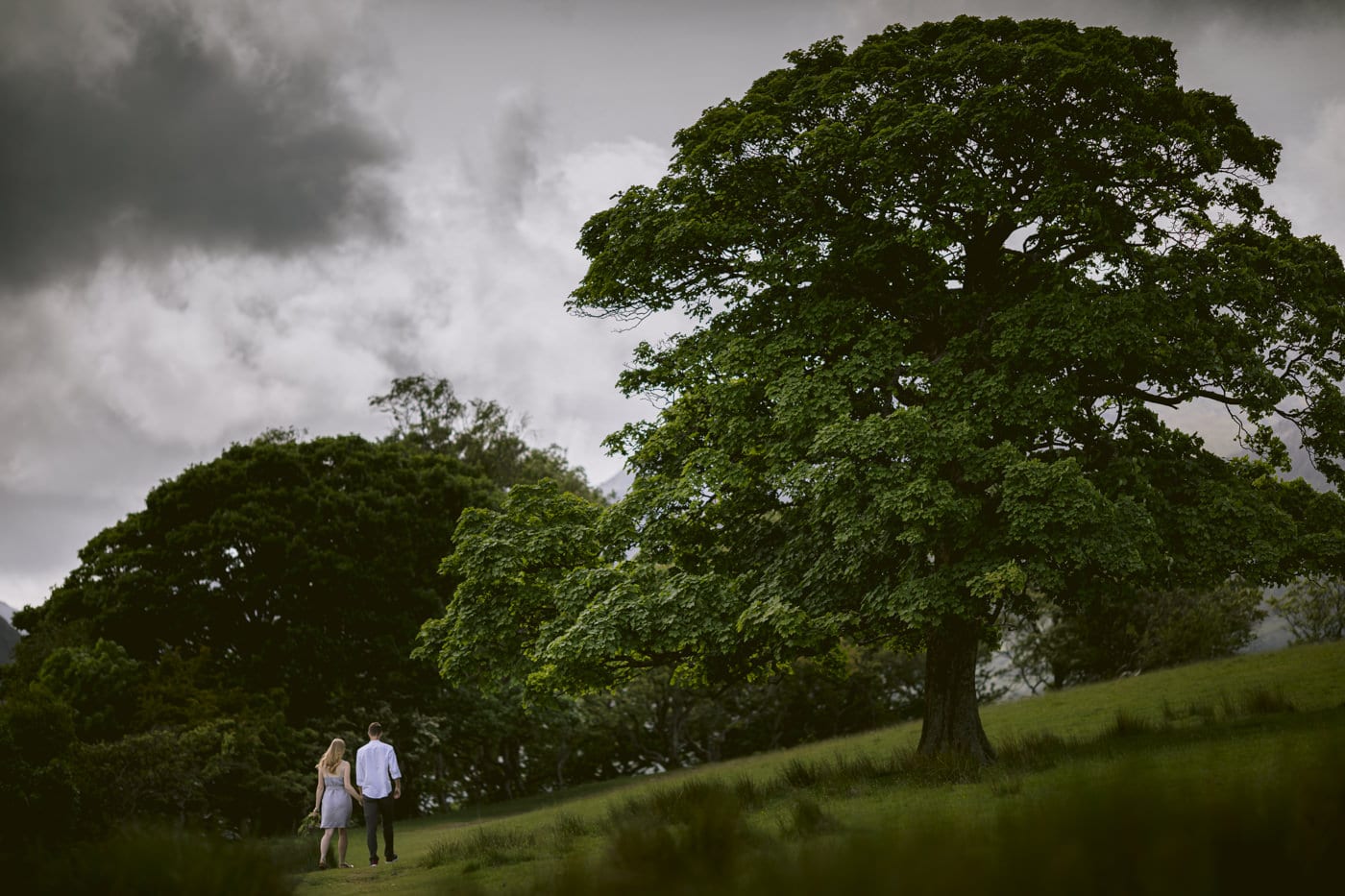 A couple standing in the Lake District field under a cloudy sky during their Civil Partnership ceremony.