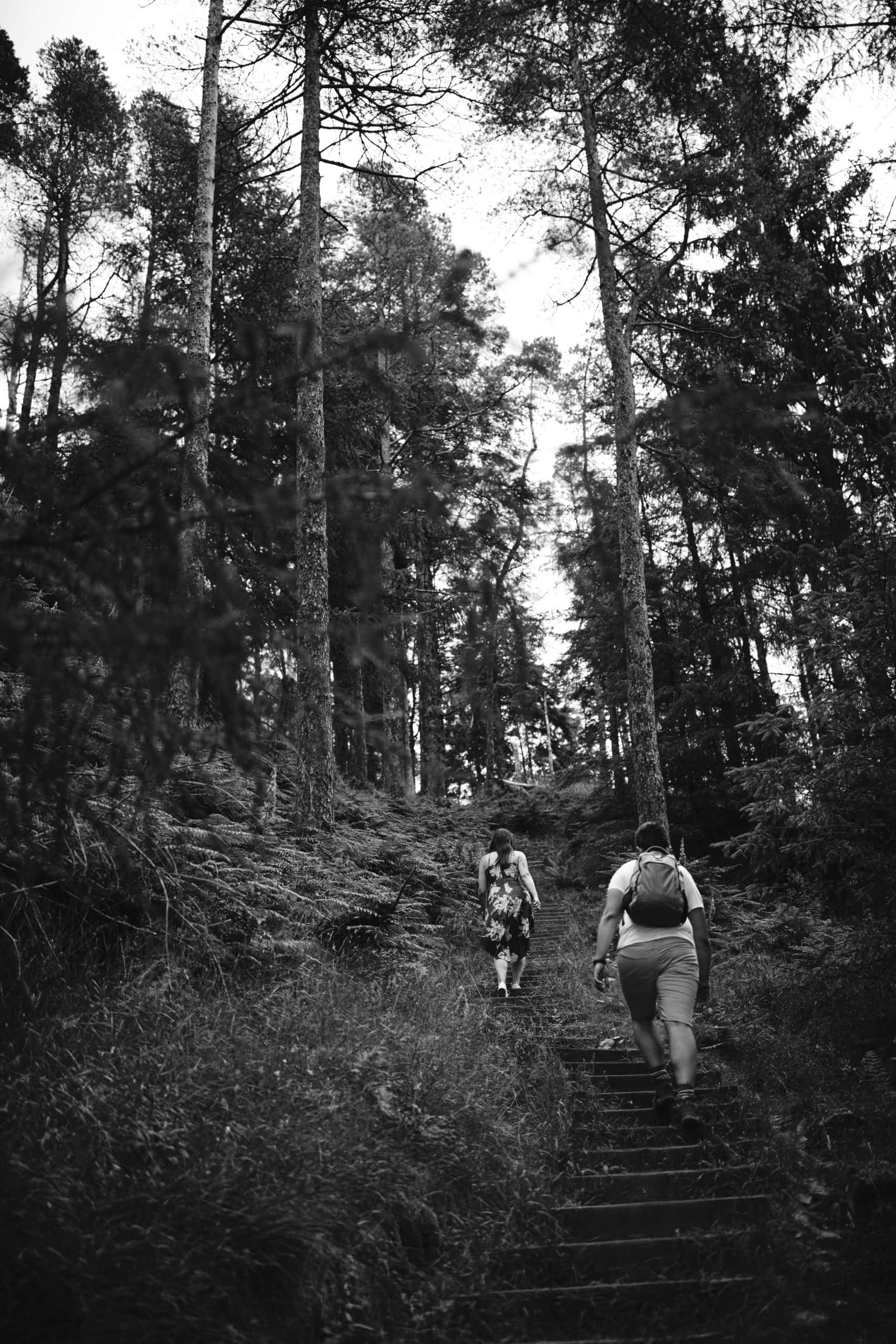 A couple enjoying a picturesque portrait session as they ascend a scenic set of stairs nestled in the peaceful woods.