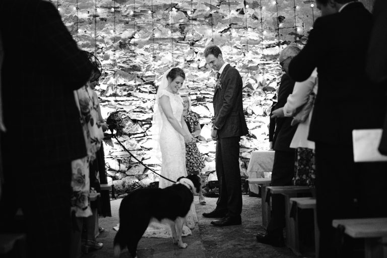 WEdding with Dog In Ceremony