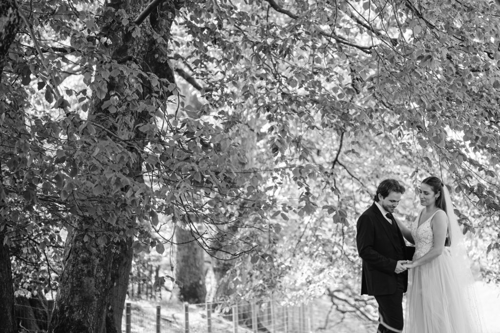 A lakeside elopement with a bride and groom standing under a tree, surrounded by tranquil beauty.
