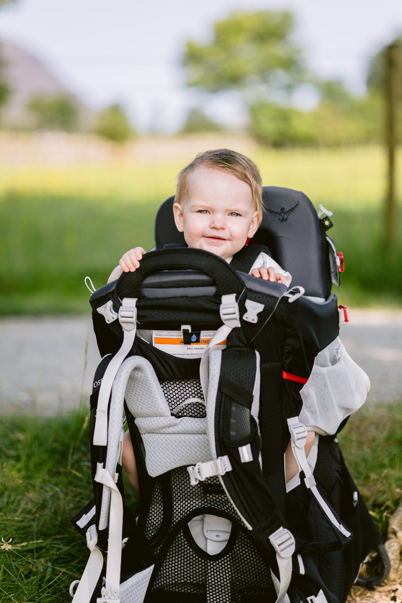 A toddler smiling in a baby carrier backpack outdoors with grass and trees in the background.