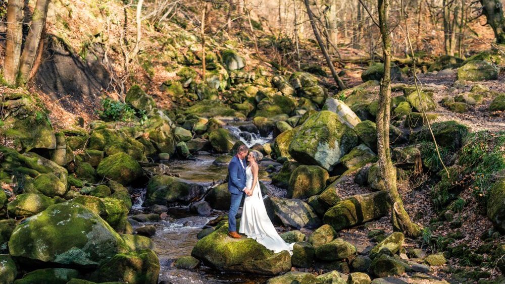 A couple in formal attire stands on rocks in a forest stream, surrounded by trees and moss-covered stones.