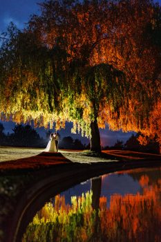 A couple stands under a large, illuminated tree at dusk, their reflection shimmering in a calm pond nearby—a magical moment of Essendon Country Club Wedding elegance.