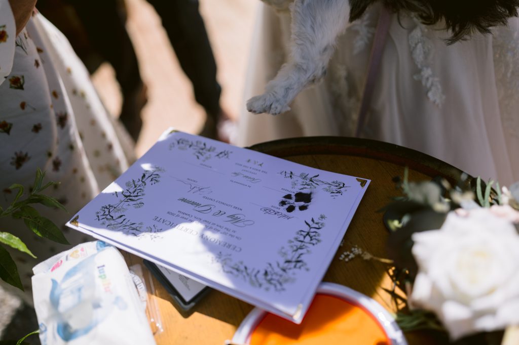 A certificate on a table is being stamped with a black paw print by a dog's paw, with flowers and ink pad nearby.