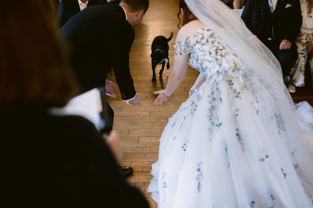 A bride and groom in wedding attire crouch with arms outstretched towards a small black dog walking towards them during their late summer wedding at The Maynard.