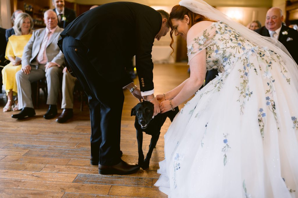 A bride and groom bend down to fuss a black dog indoors during their late summer wedding ceremony at The Maynard, with guests seated and watching in the background.