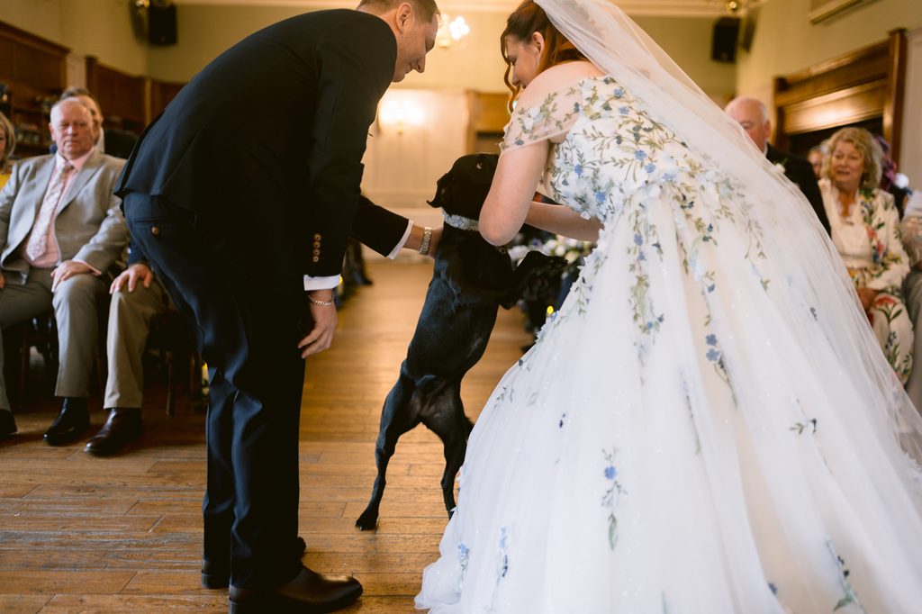 A bride and groom in formal attire greet a black dog standing on its hind legs during an indoor wedding ceremony at The Maynard, with guests seated in the background—a joyful moment capturing the warmth of a late summer wedding near Padley Gorge.